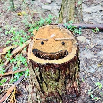 ニコニコはっちゃん