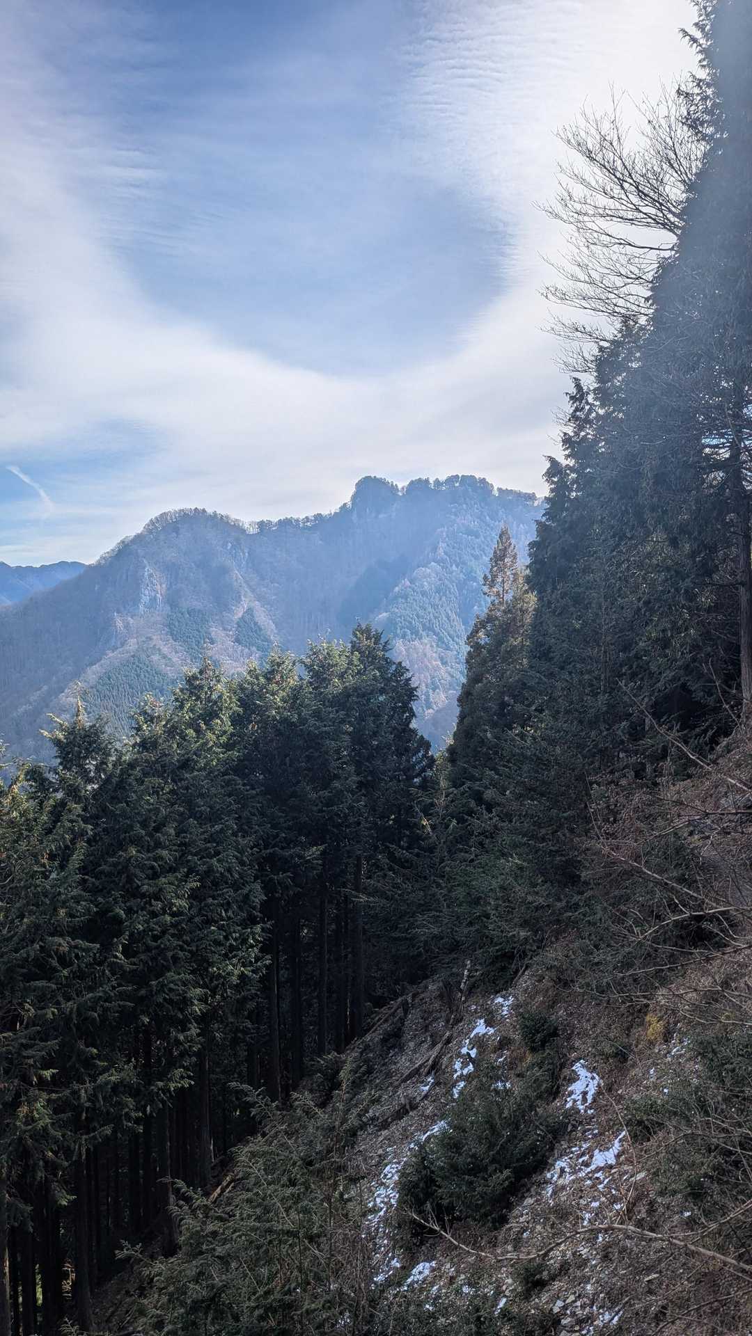 大輪バス停-三峯神社 周回コースの写真