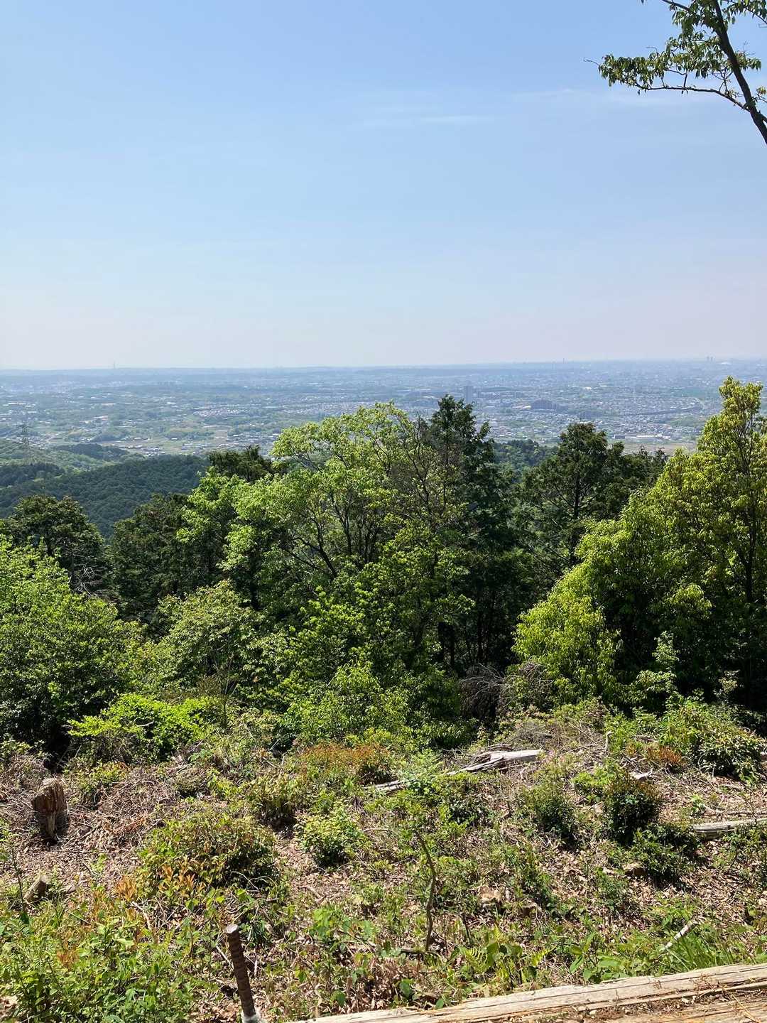 大縣神社登山口-尾張本宮山 往復コースの写真