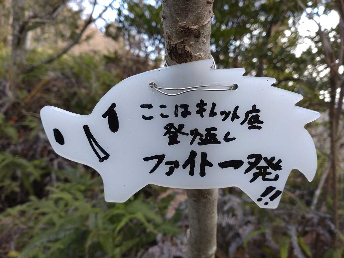 キレットからの登り返し
ファイト！