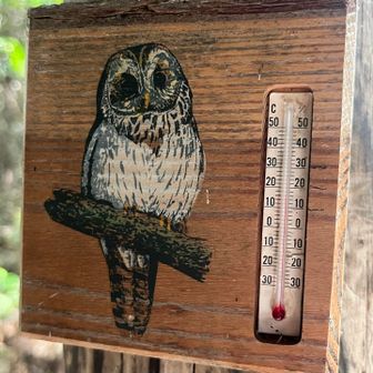 15度？
しかし全然　背中は汗がすごい
風が吹くと涼しい