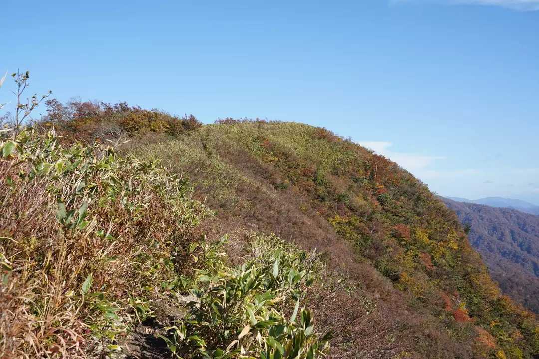 三周ヶ岳の写真