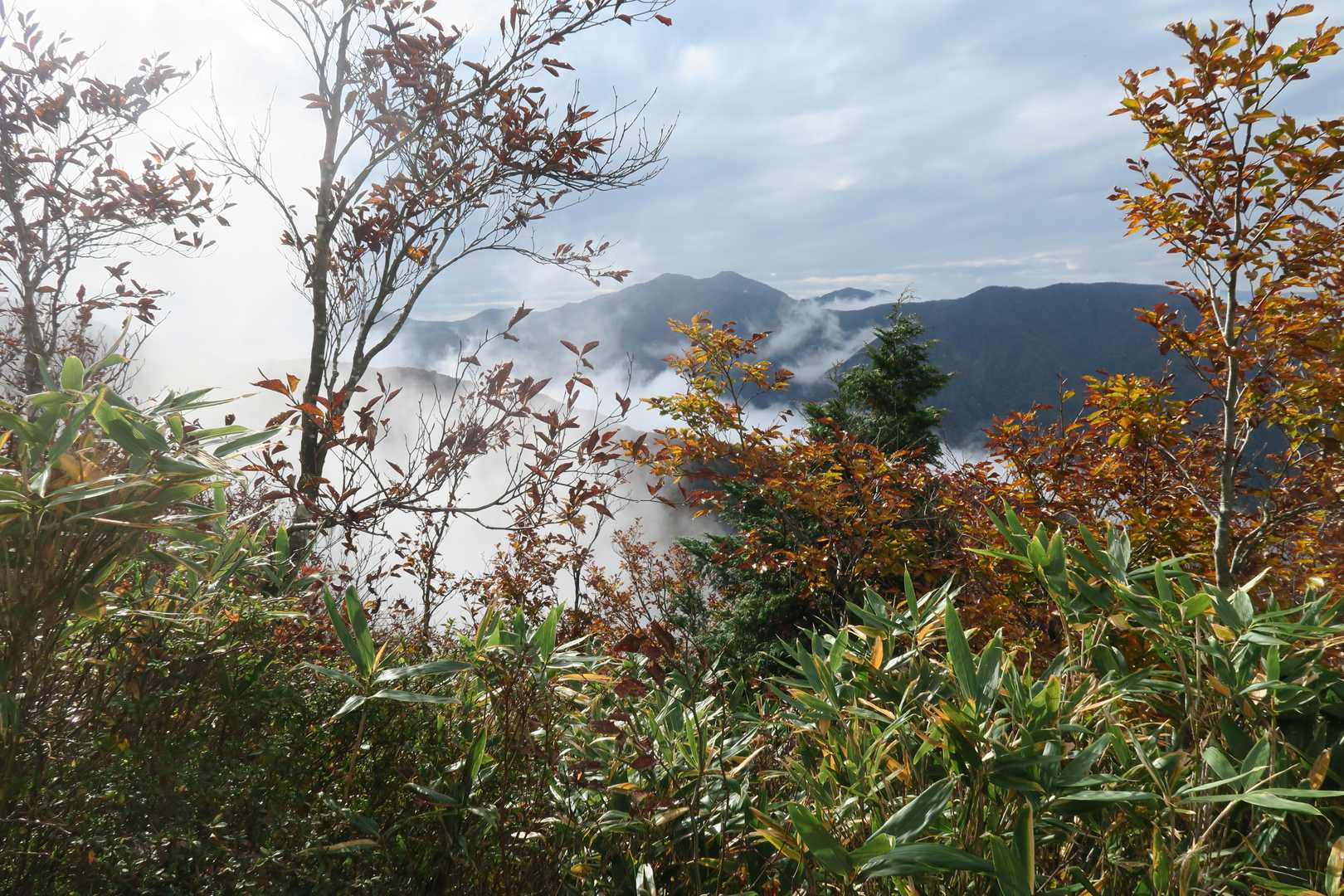 取立山登山口-取立山 往復コースの写真