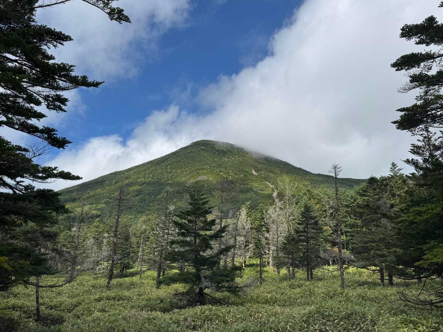 少し進むと、ドーンと聳え立つ蓼科山が見えて、なんて美しさ✨✨✨
