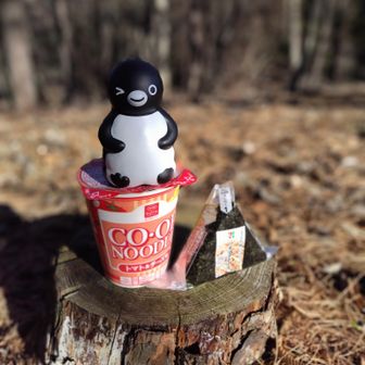 次の休憩ポイント霜山にはベンチとかないので、ここでチャージタイム。ウッドデッキや腰掛け台はあります。
が、風が強くてそそくさごちそうさま。