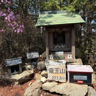 ここまでピストン