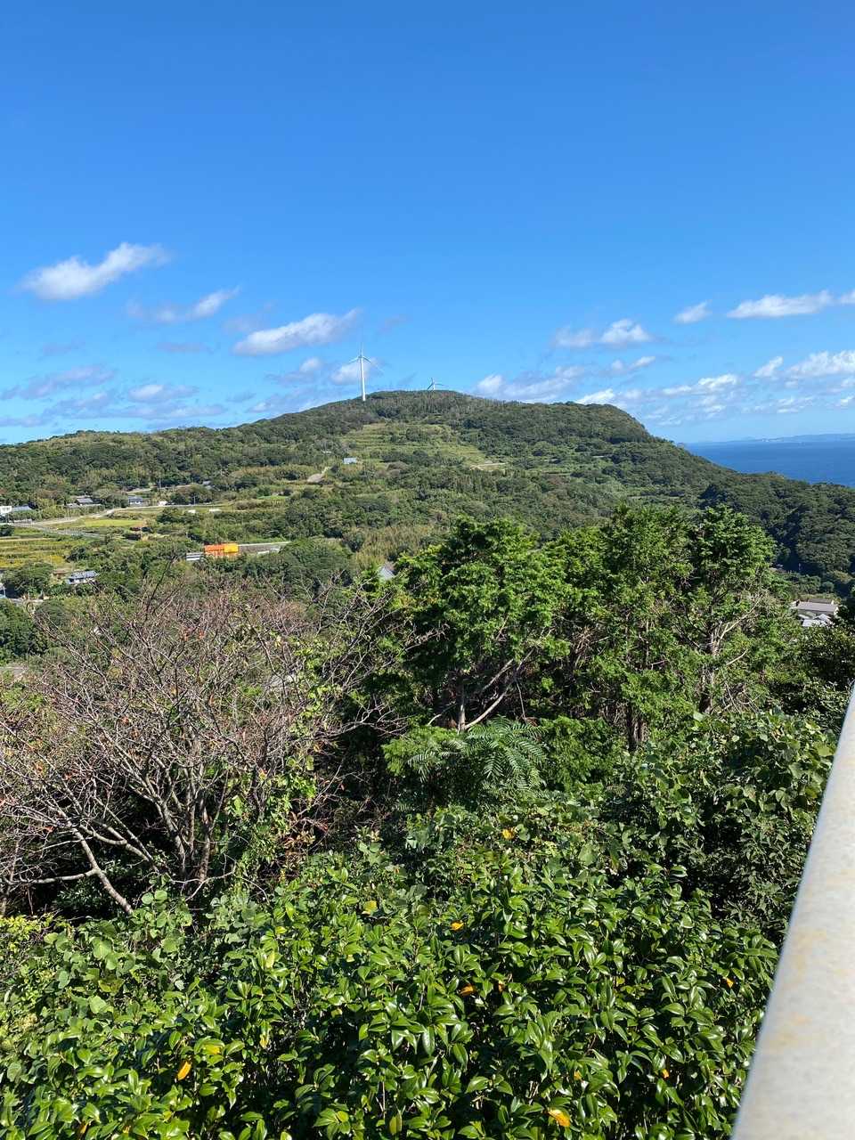 城山から