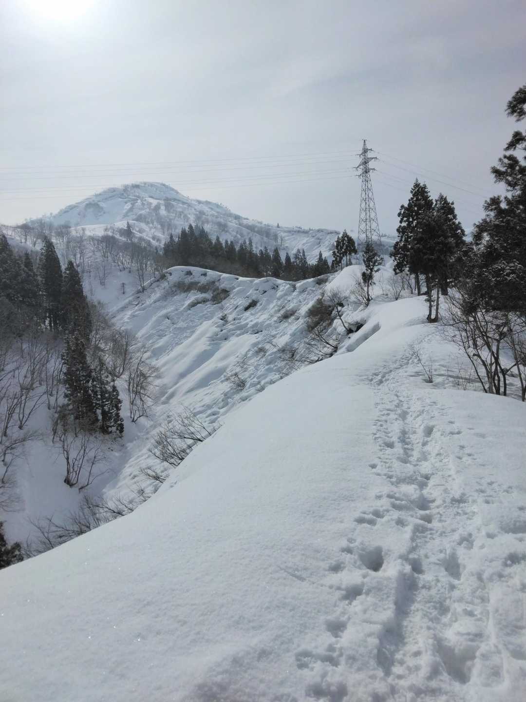 あれが大力山ですね🙄
