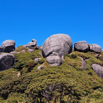人面岩
山の上に、岩が乗っかってるの多いですね。