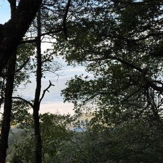 下がガスってるってことは...上に抜ければ