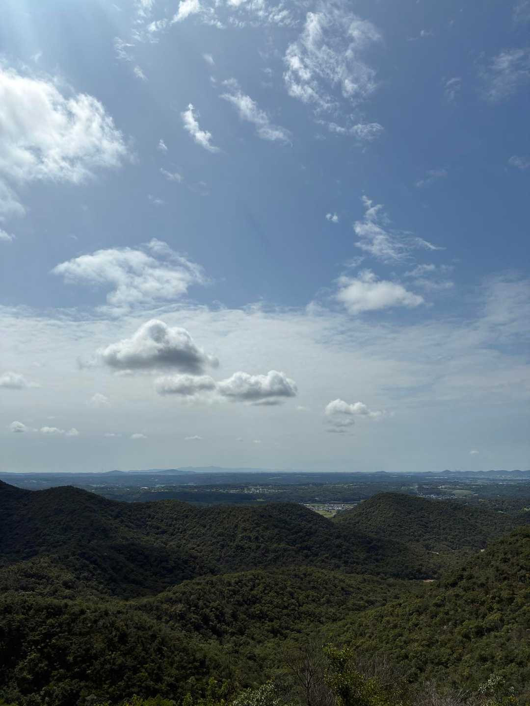 山口登山口-三草山 往復コースの写真