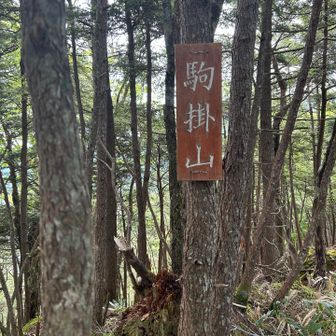 駒掛山