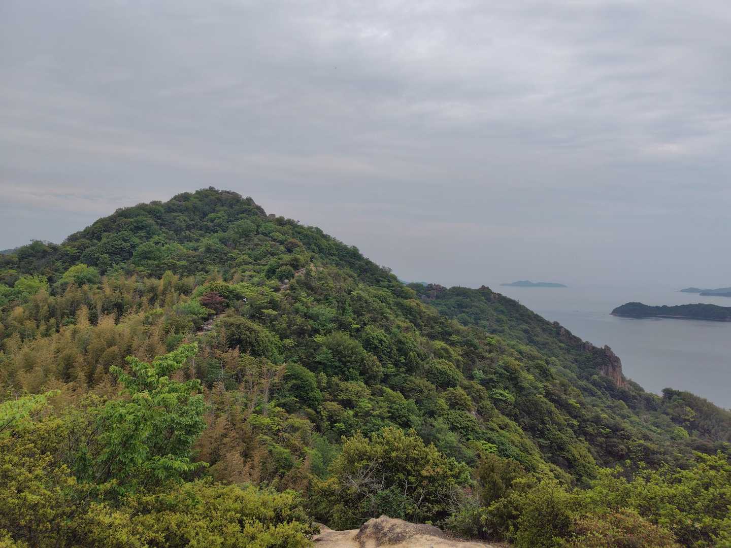島トレッキングコース入口-応神山-立石山-飛龍大神-陸軍軍 縦走コースの写真