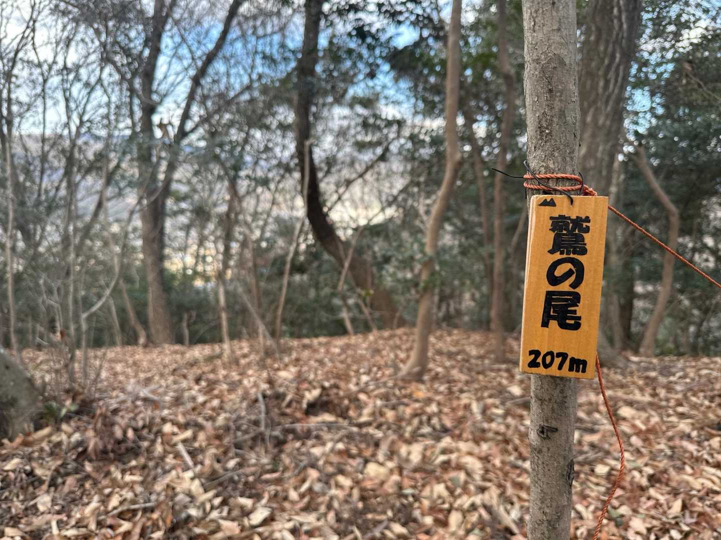 伽藍山-江良峠-鷺の尾-西方院 周回コースの写真