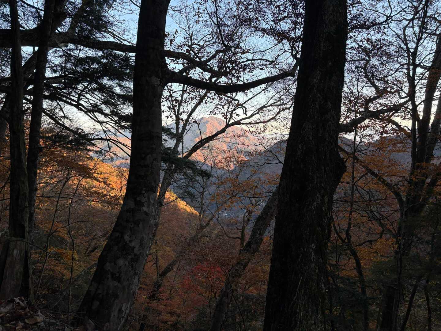 身延山七面山修行走 七面昇龍コースの写真