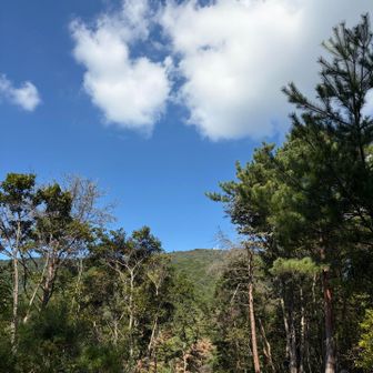 五合目から山頂がくっきり