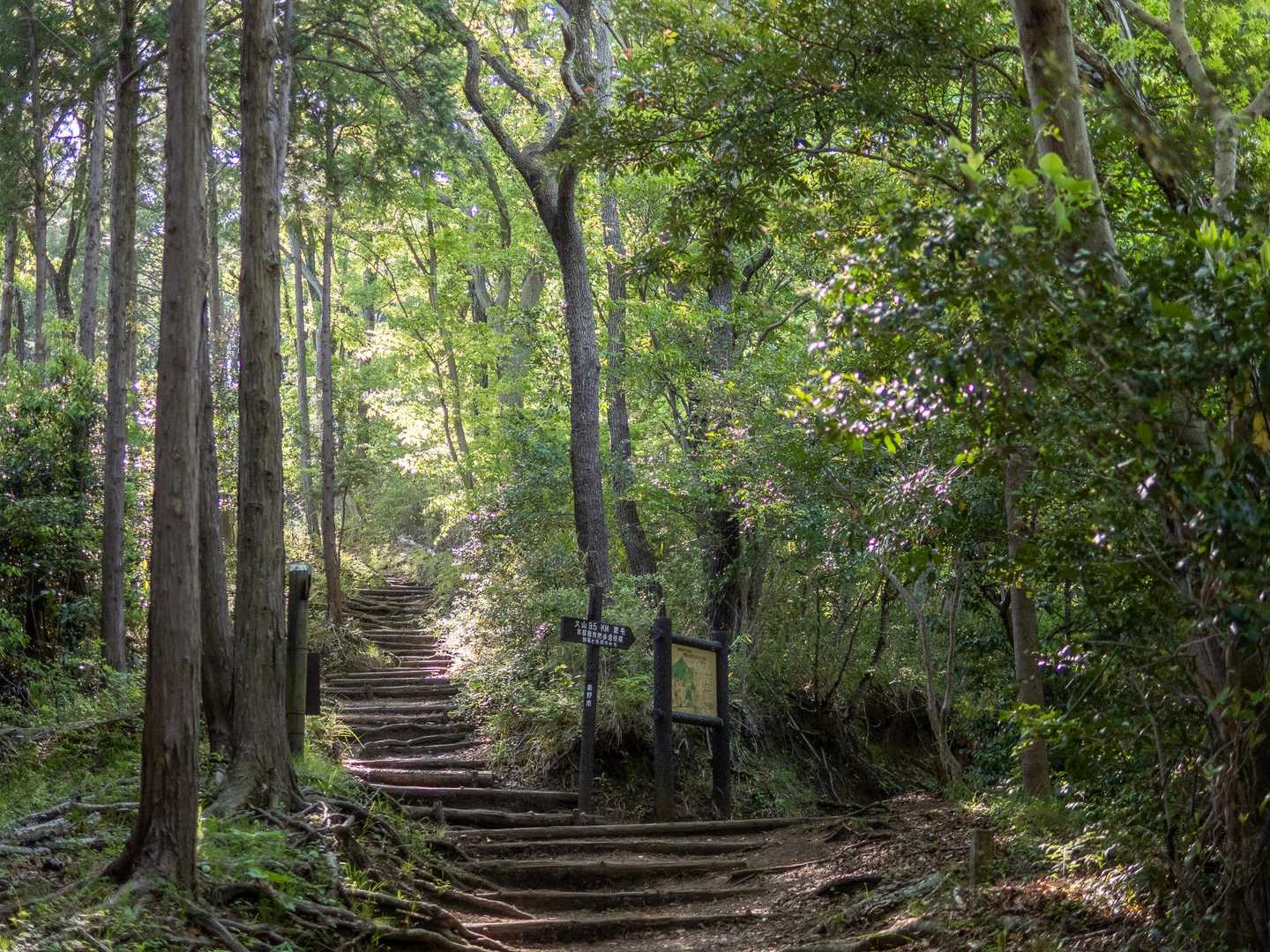 弘法山-吾妻山コースの写真