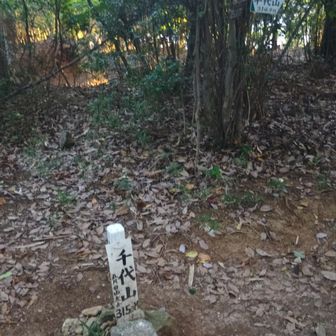 五月山⛰️山頂👍️
三角点あり✨