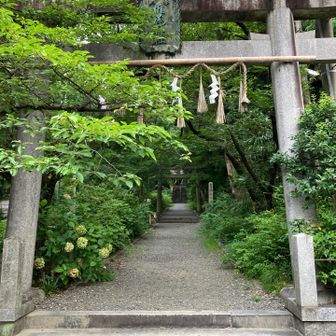 まっすぐ天王山を目指すとあまりにも短く早く着いてしまうので、こちらからぐるっと周ります。