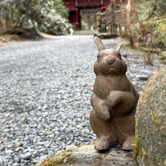 いつものこの子にもご挨拶🐰



最後までご覧いただきありがとうございました♪

