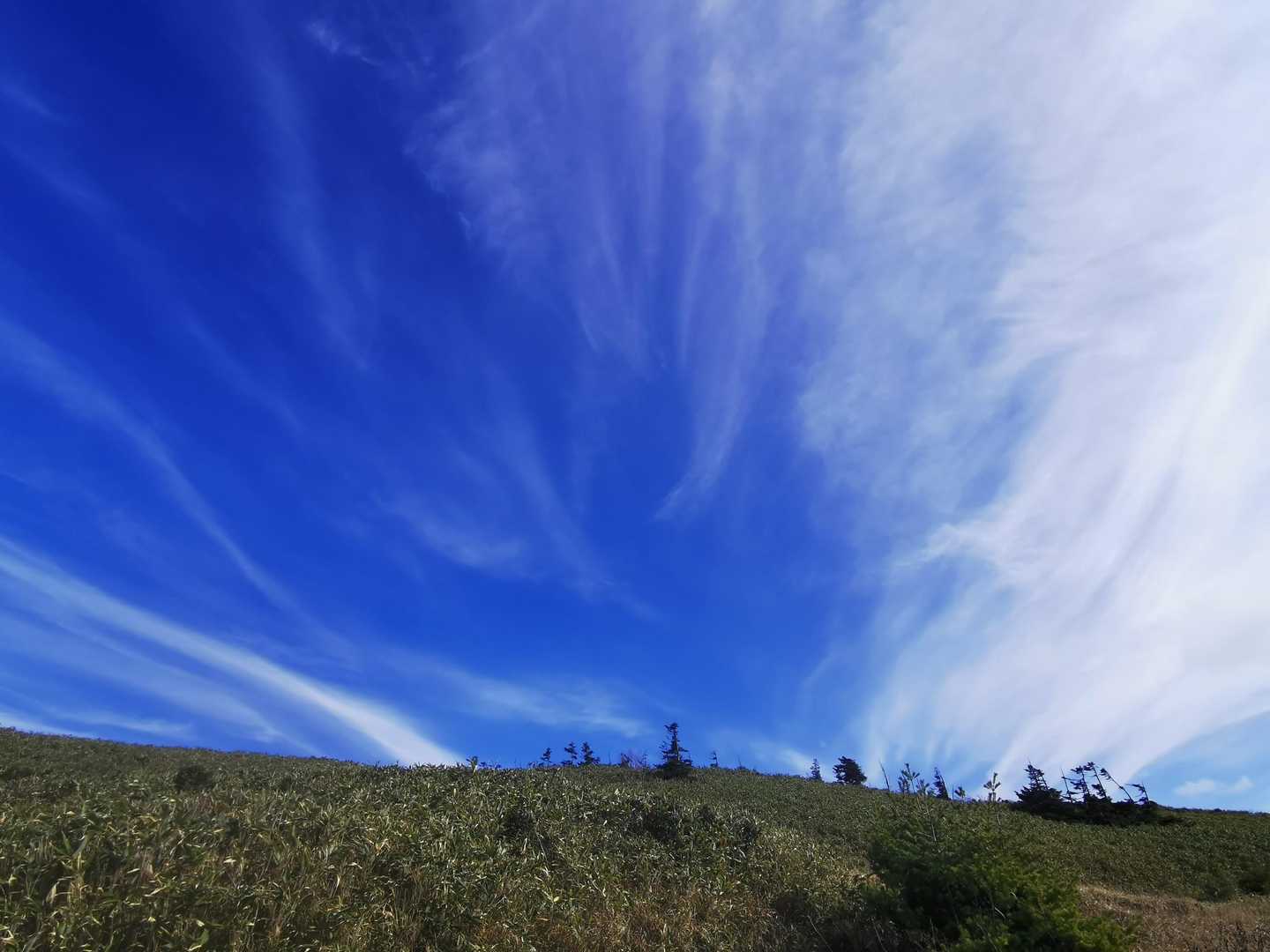 雲が増えてきた