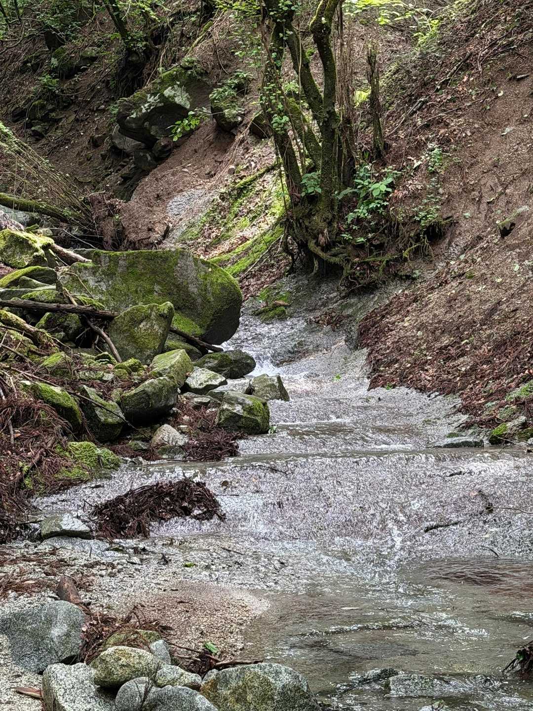 下山は少し寄り道
綺麗な沢でした