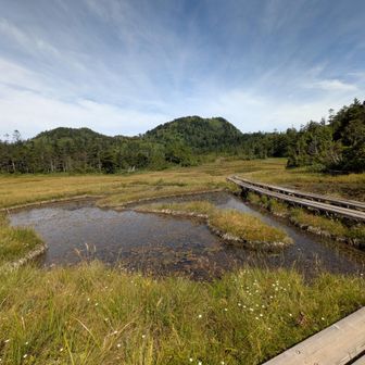 四十八池と湿原