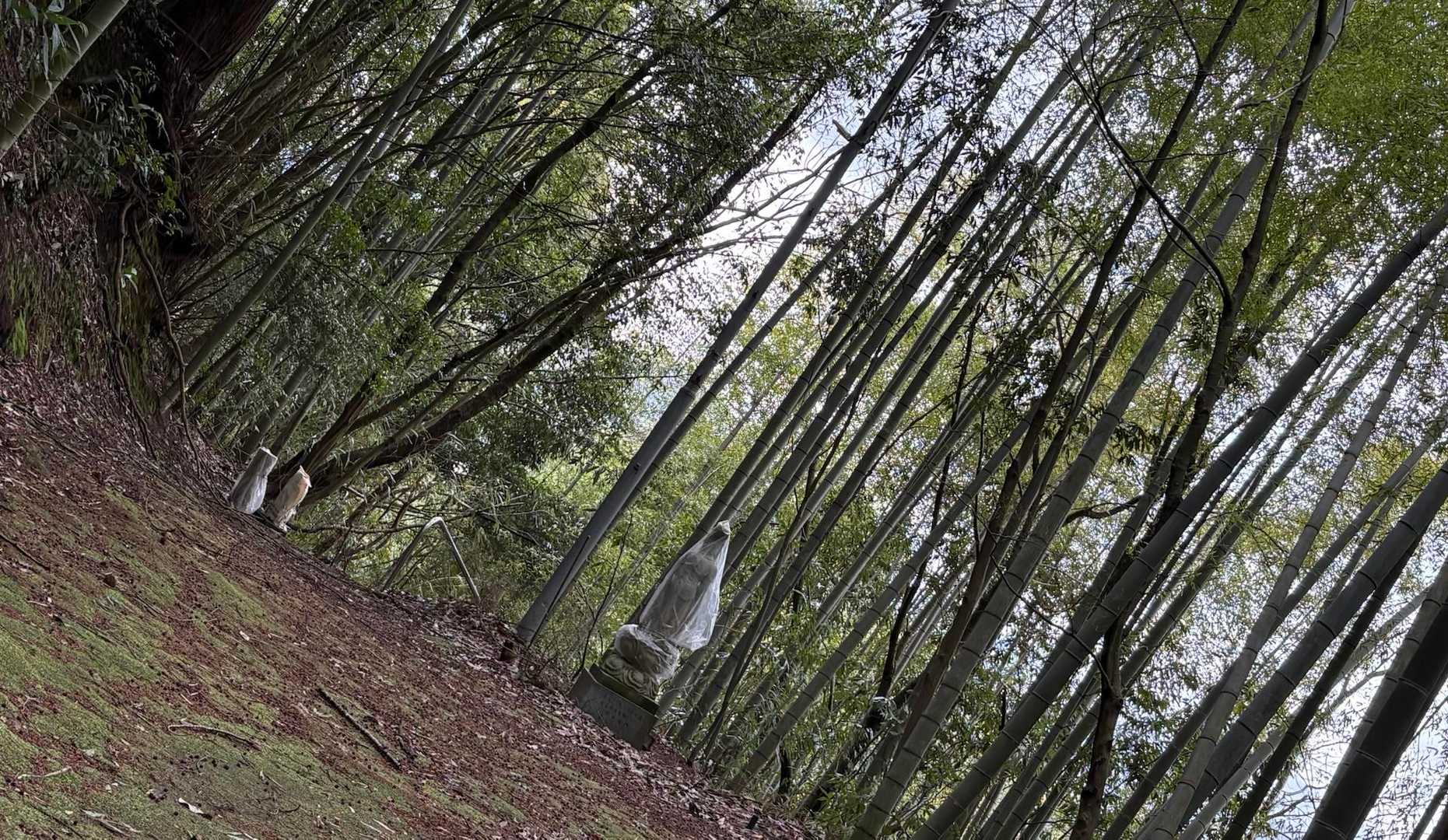 登って気付き、降りて知る🤓