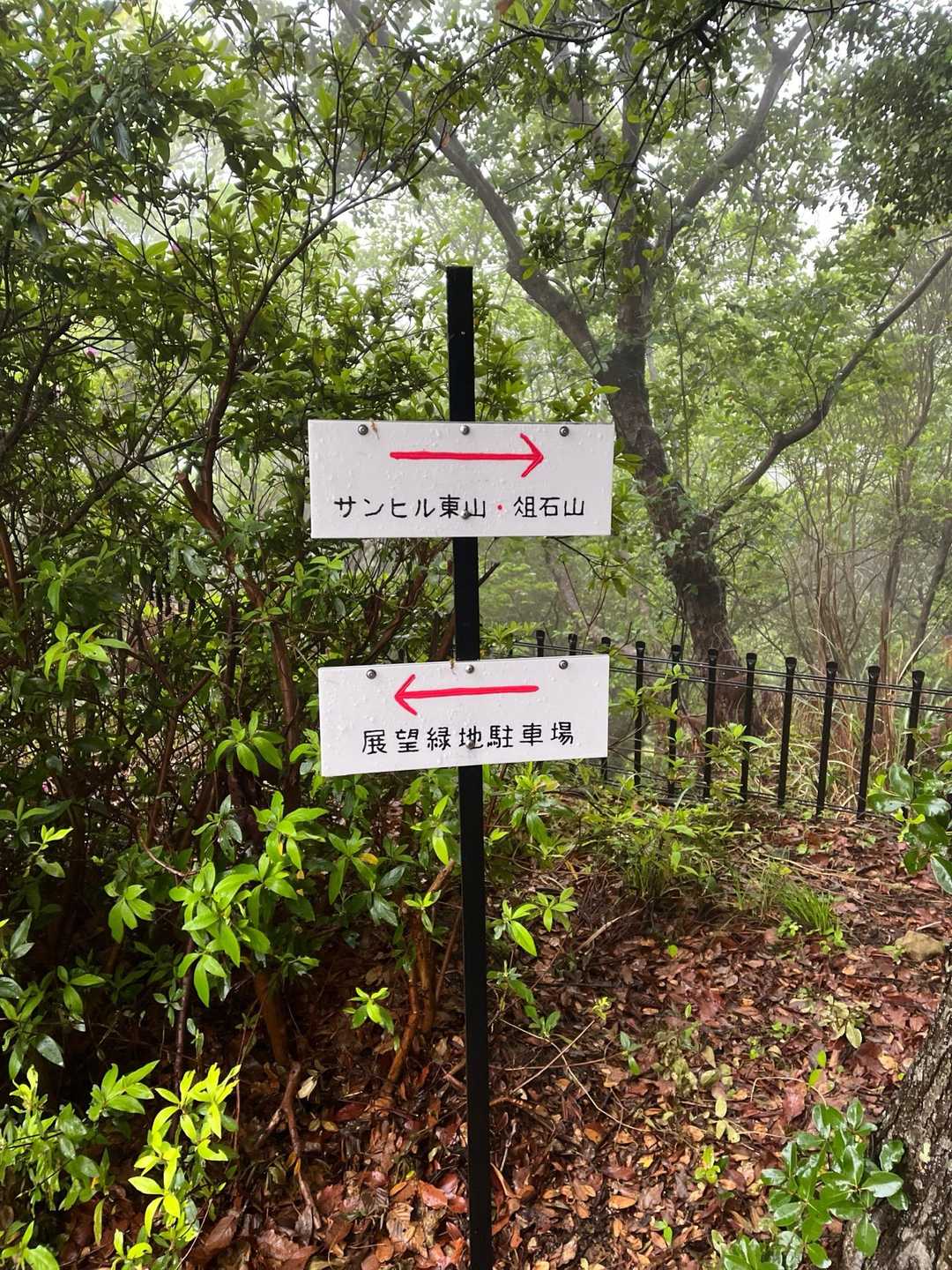 俎石山登山口-第1休憩所-俎石山 往復コースの写真