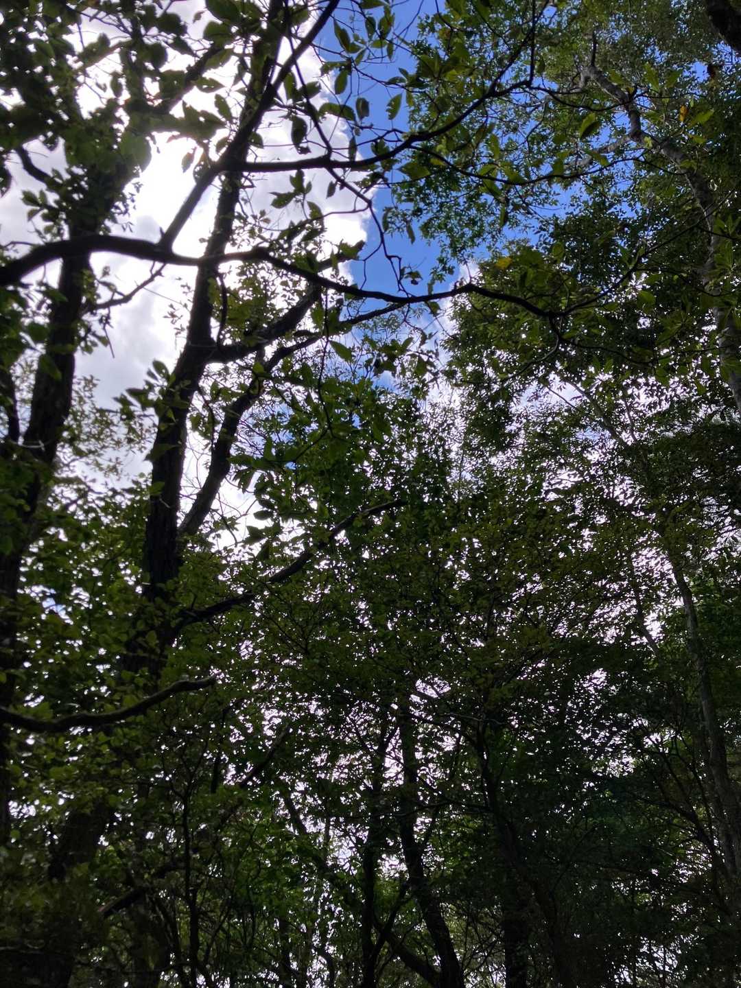 青空
