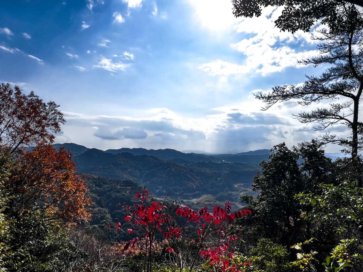 清水寺-清水山-清水山-古僧都山 周回コースの写真
