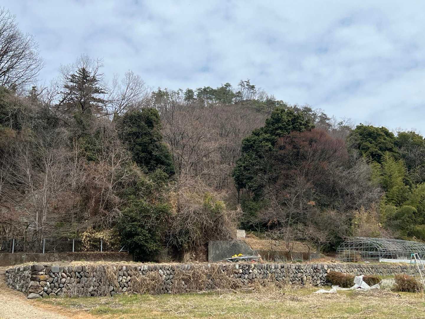 さっき登ってた神成山