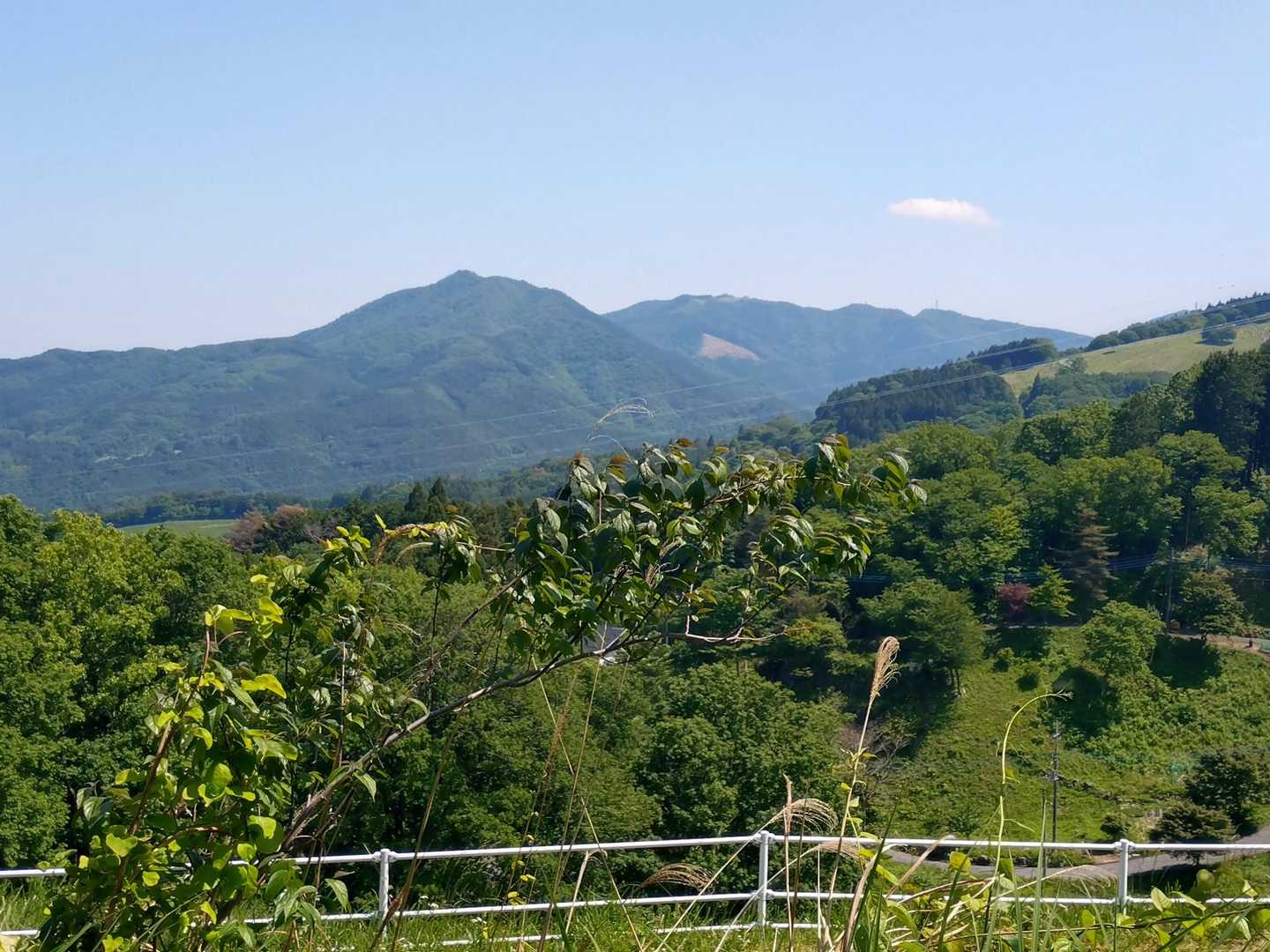 笠山
イワウチワがたくさん咲くそうなので、来年行ってみようかな。