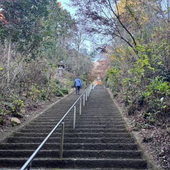 石段を下って振り返る😲
