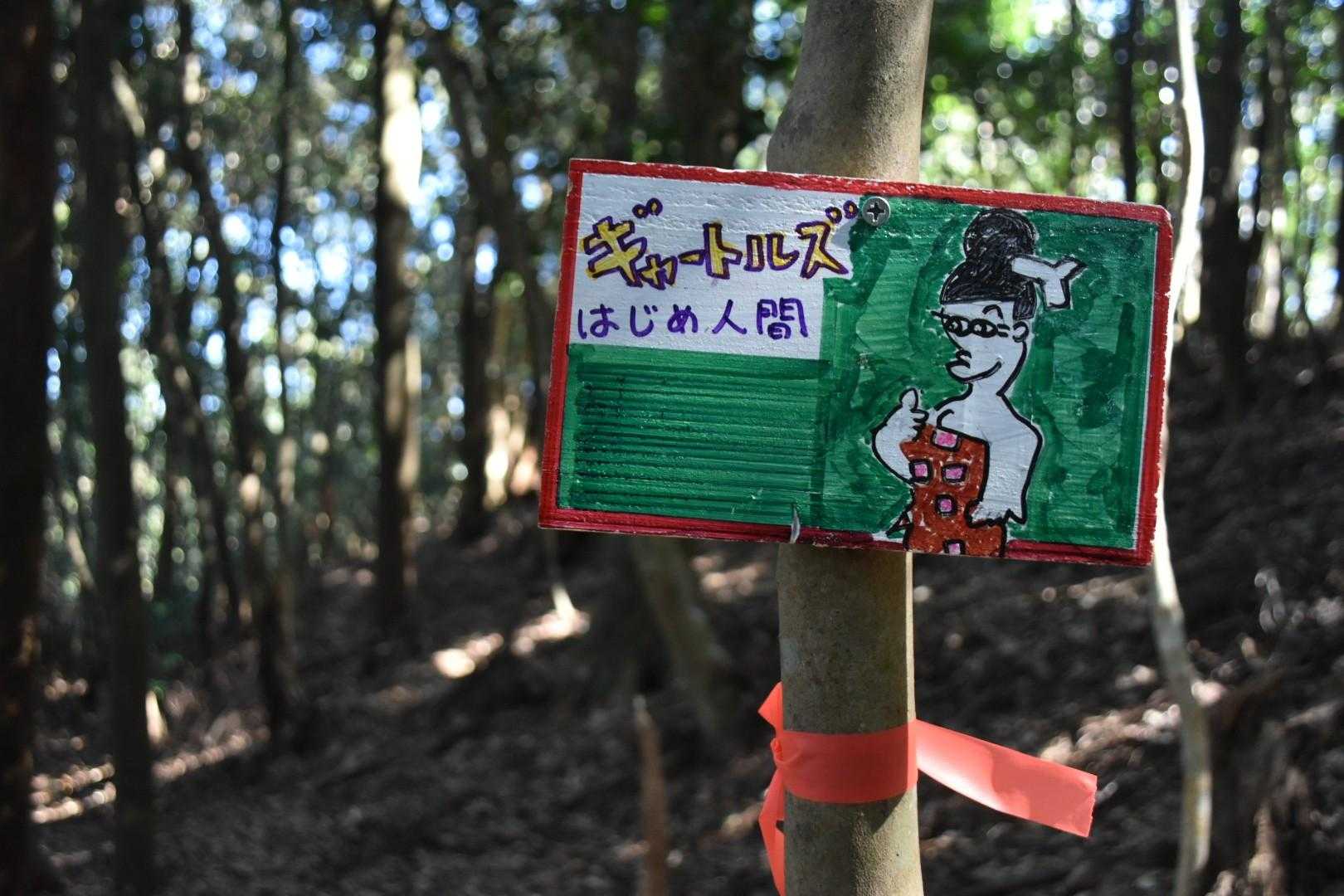ど真ん中の世代です🤣。

僕ら世代の原始時代のイメージは、全てこの番組。