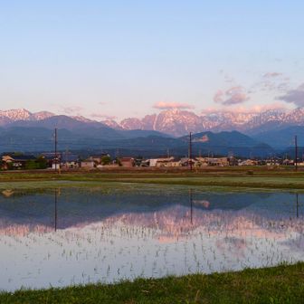 りょうた