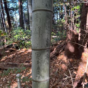 天王高ヶ峯⛰️登頂👍
手書きで「高ヶ峯と思われます」だって🤣
この山は登り口が全く分からず、YAMAPのルートを追いかけながら終始藪漕ぎ😱並の藪じゃなく色んな草木にツタが絡まった強烈な藪でした😰
ピークハンター以外はお勧めしません😅
