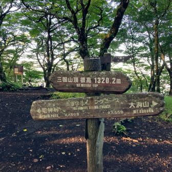 三国山、眺望はなし