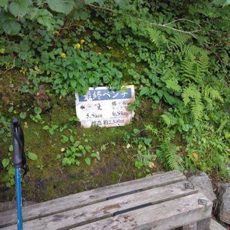 最終ベンチ、標高2500m