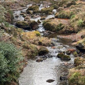 中藤川の清流💦