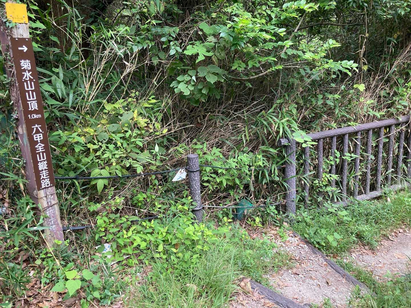 妙法寺駅-高取山-鵯越駅-菊水山-鈴蘭台駅 縦走コースの写真