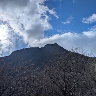 逆光で黒く写る由布岳もカッコいい😍
素晴らしい景色が見れて最高の一日でした🙇