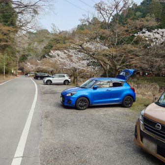 駐車場の車は少し減ったかも？