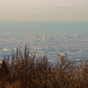 あべのハルカス
本当に今日はよく見える😊