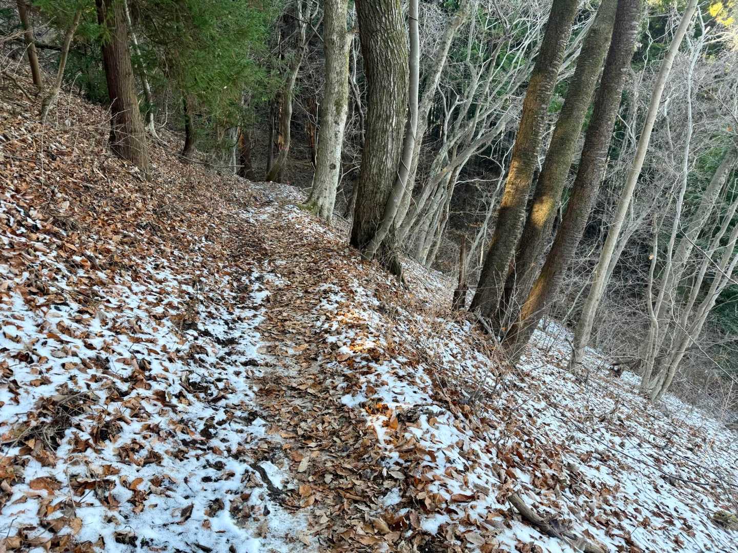分起点から和田登山口方面に下ります