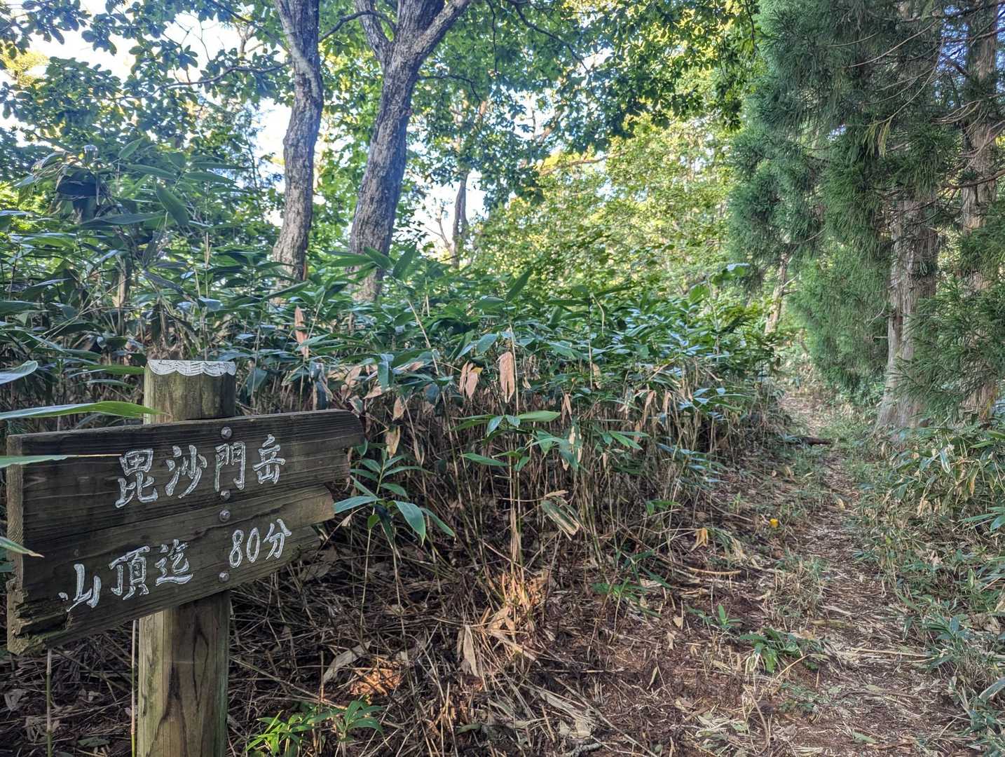 登山道は広くて綺麗です
ありがとうございます🍀