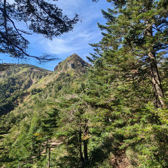 いきなりの急登を登り まずはあの金精山頂上を目指す