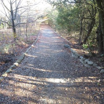 展望を楽しんだら帰る。