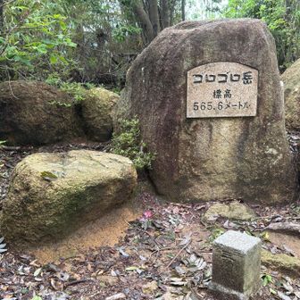本日４座目、ごろごろ岳。、
