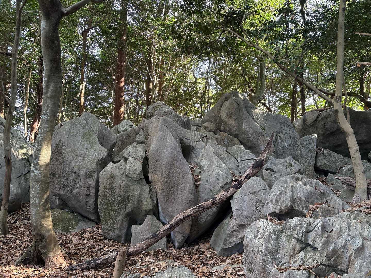 岩🪨が出てきました